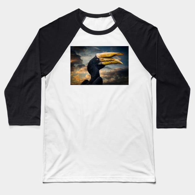 Rhinoceros Hornbill Baseball T-Shirt by Adrian Evans Photography